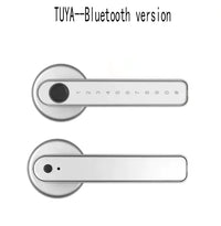 Graffiti Smart Fingerprint & Password Door Lock – Spherical Wooden Handle
